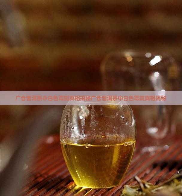 广仓普洱茶中白色霉斑