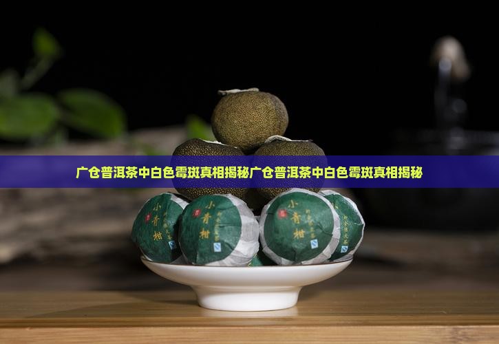 广仓普洱茶中白色霉斑