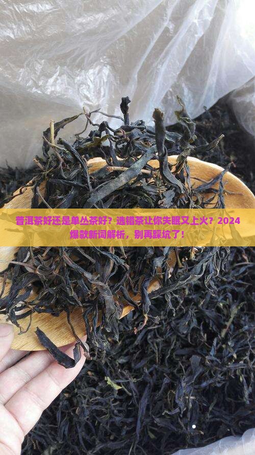 普洱茶好还是单丛茶好