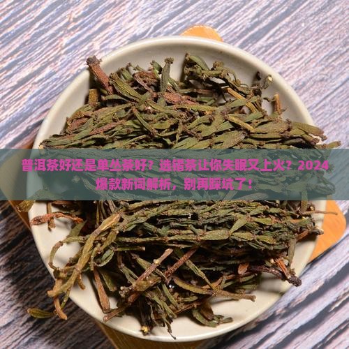 普洱茶好还是单丛茶好
