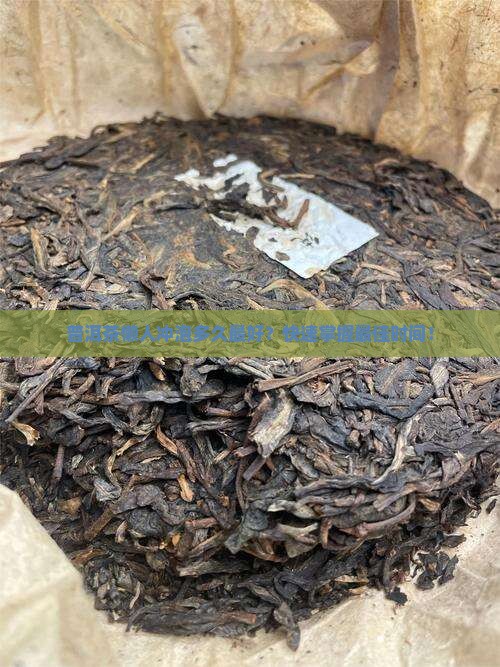 普洱茶懒人冲泡多久最好