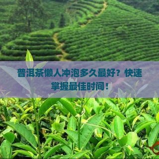 普洱茶懒人冲泡多久最好