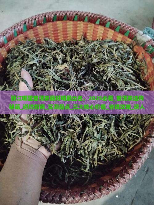 丽江哪里普洱茶最好喝最出名