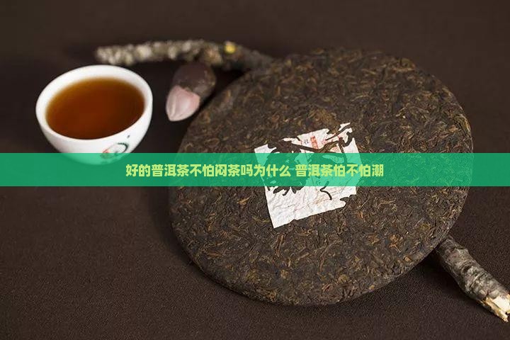 好的普洱茶不怕闷茶吗为什么