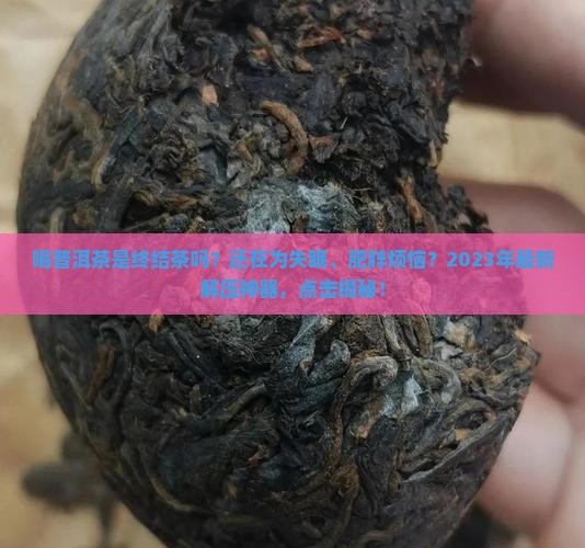 喝普洱茶是终结茶吗