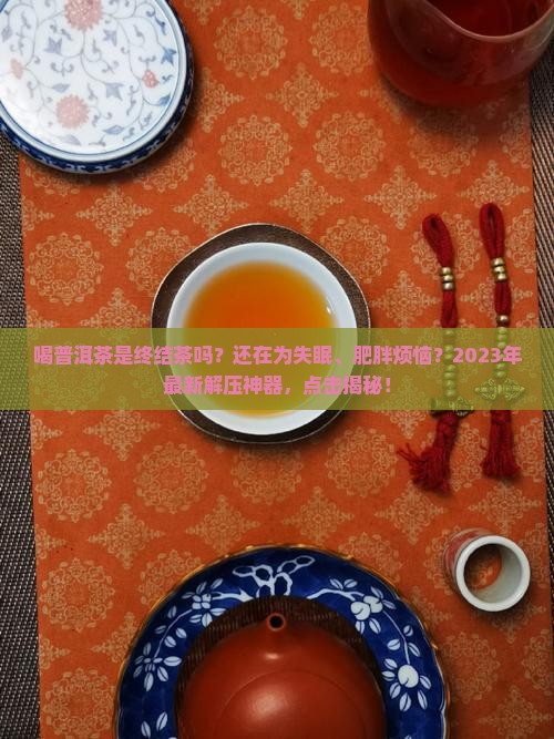 喝普洱茶是终结茶吗