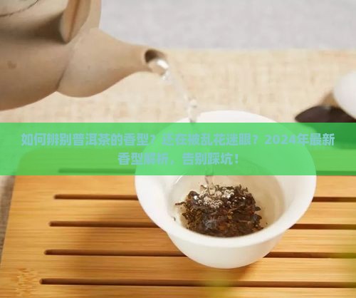 如何辨别普洱茶的香型