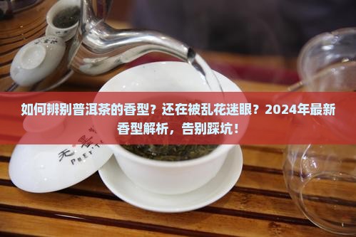 如何辨别普洱茶的香型