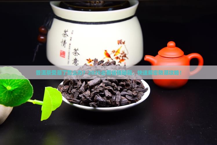 普洱茶潮湿咋办