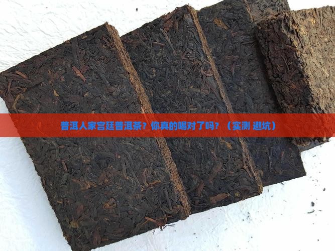 普洱人家宫廷普洱茶 普洱人家宫廷普洱茶
