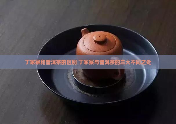 丁家寨和普洱茶的区别