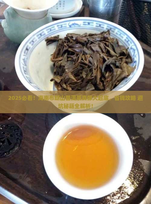 海南布朗山普洱茶 海南布朗山普洱茶