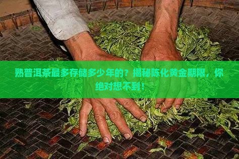 熟普洱茶最多存储多少年的