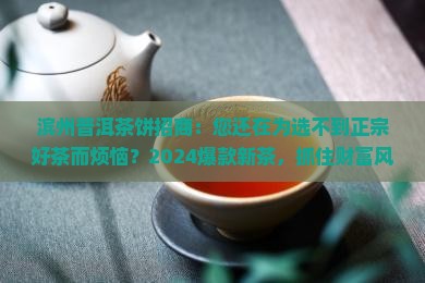 滨州普洱茶饼招商