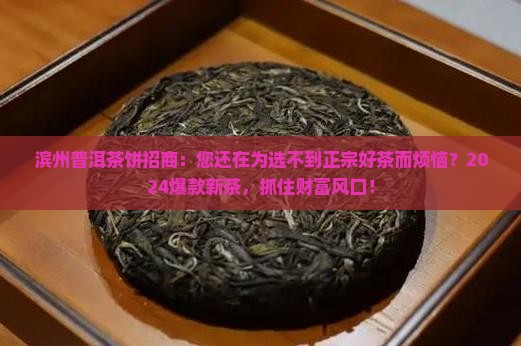 滨州普洱茶饼招商