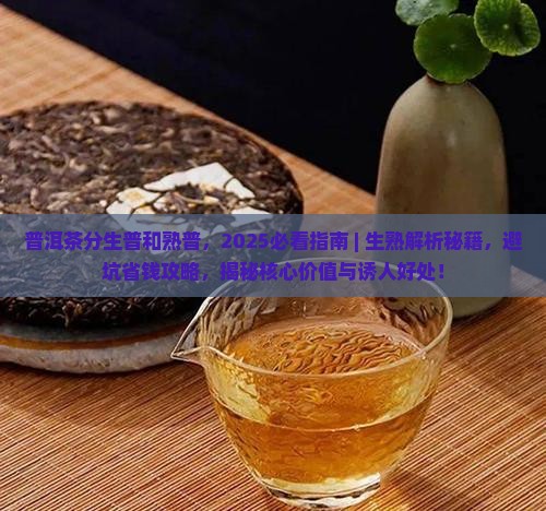 普洱茶分生普和熟普