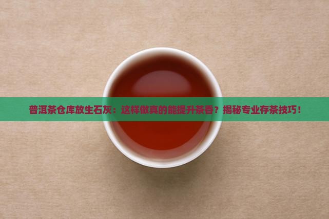 普洱茶仓库放生石灰