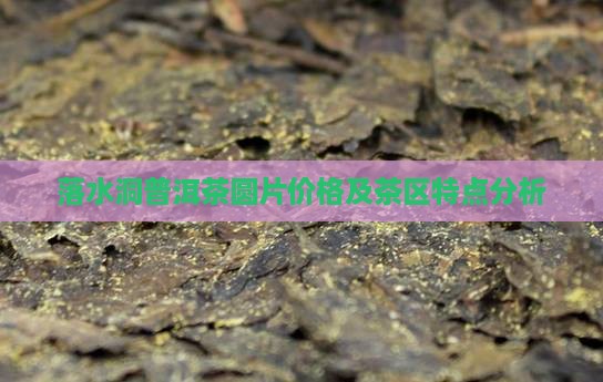 落水洞普洱茶圆片