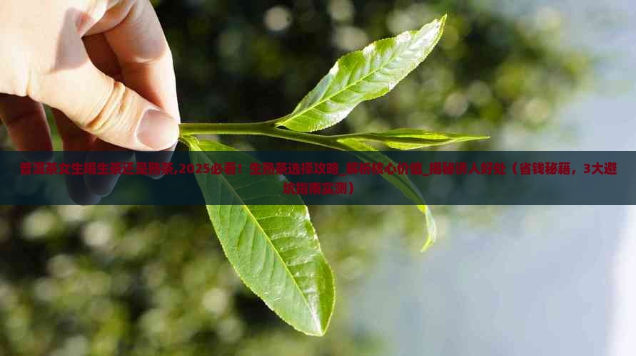 普洱茶女生喝生茶还是熟茶