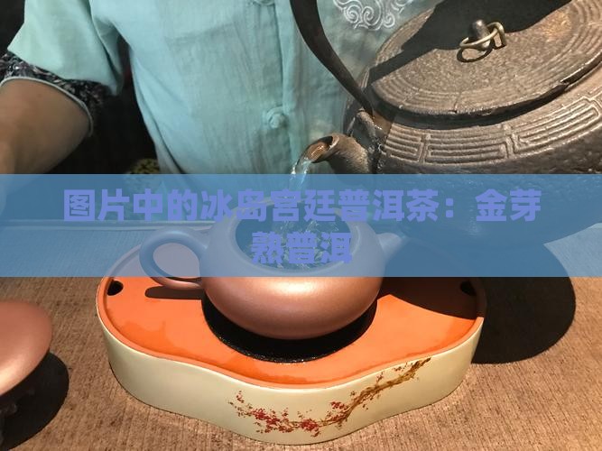 冰岛金芽宫廷熟普洱茶