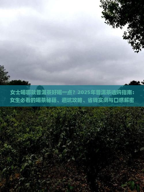 女士喝哪款普洱茶好喝一点