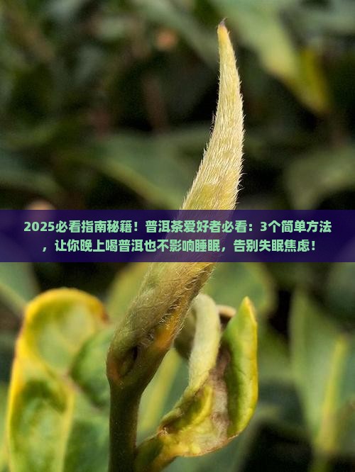 普洱茶怎样喝不影响睡眠