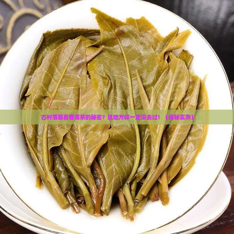 古村落做普洱茶的地方在哪里