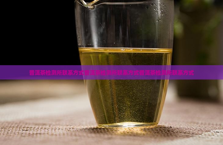 普洱茶检测所联系方式
