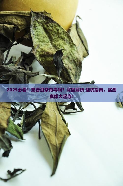 熟普洱茶有毒吗