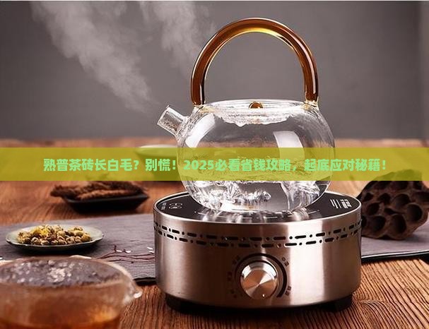熟普茶砖长白毛怎么办