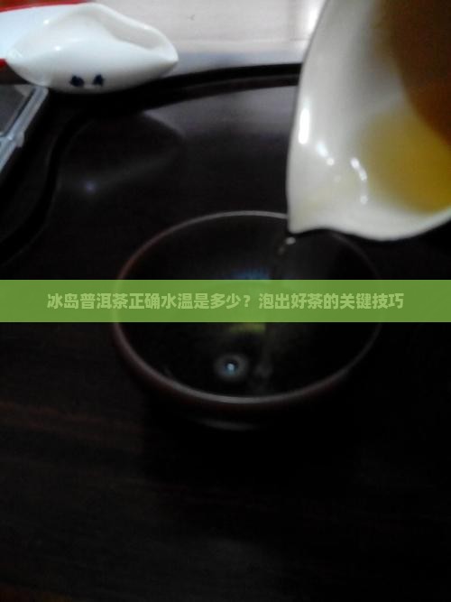 冰岛普洱茶正确水温
