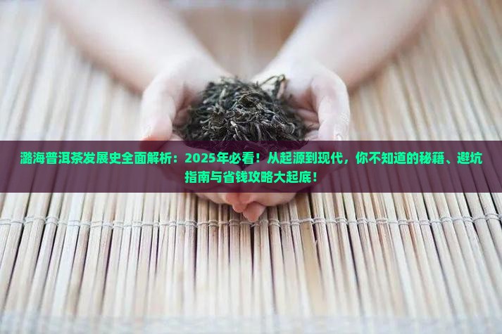 潞海普洱茶的发展史