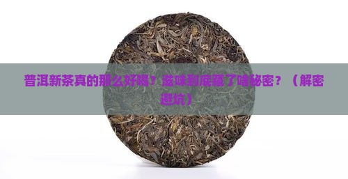 普洱茶新茶的滋味是什么