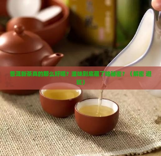 普洱茶新茶的滋味是什么