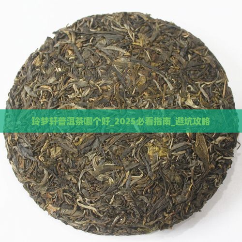 玲梦轩普洱茶哪个好