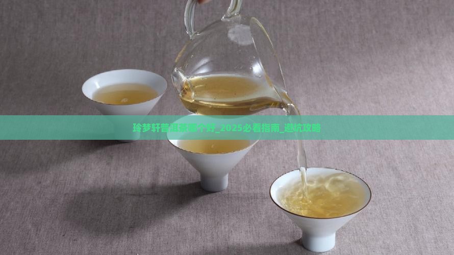 玲梦轩普洱茶哪个好
