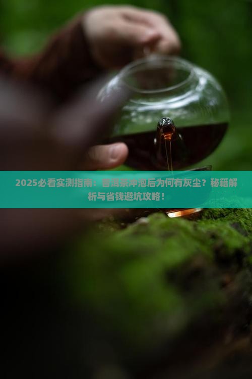 普洱茶冲泡后有像灰尘的东西