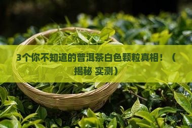 普洱茶白色颗粒