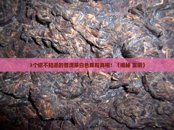 普洱茶白色颗粒