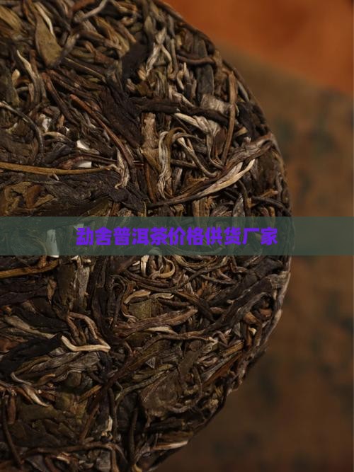 勐舍普洱茶价格供货厂家
