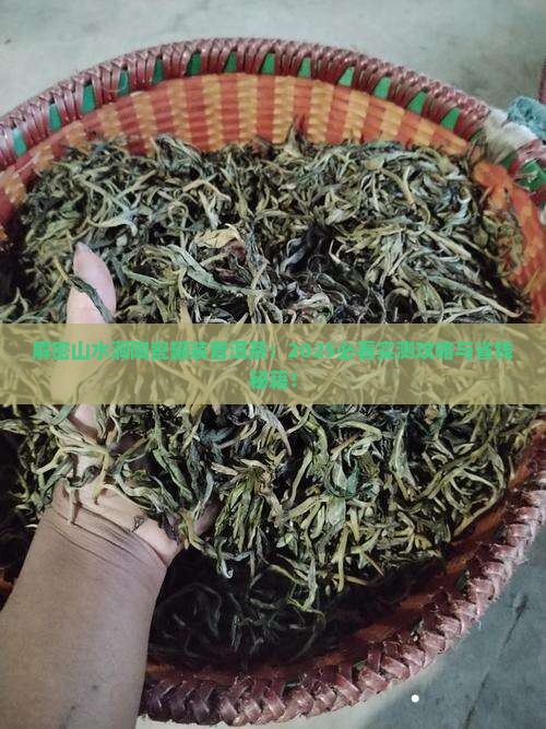 山水涧陶瓷罐装普洱茶