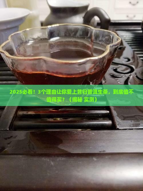 昔归普洱生茶是什么茶