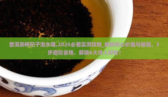 普洱茶枸杞子泡水喝