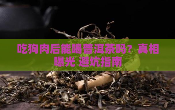 吃狗肉后能吃普洱茶吗