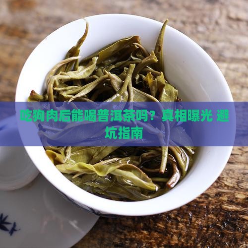 吃狗肉后能吃普洱茶吗