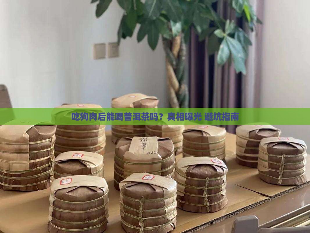 吃狗肉后能吃普洱茶吗