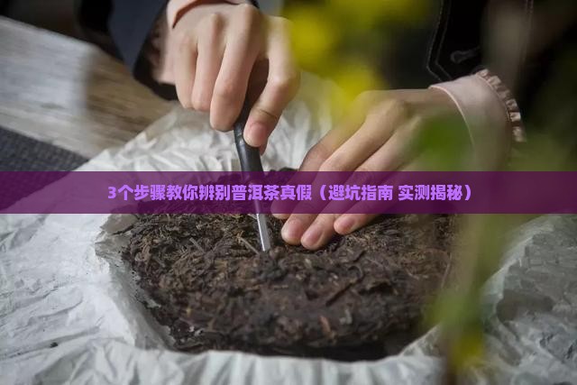 普洱茶真假辨别书