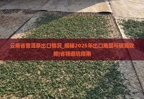 云南省普洱茶出口情况