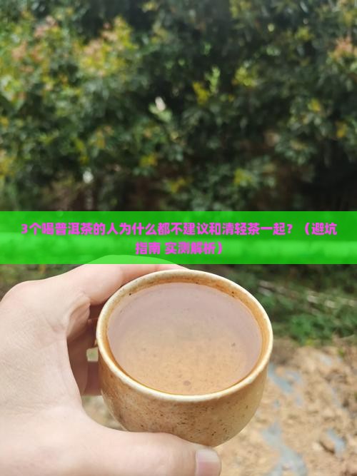 普洱茶能和清轻茶一起