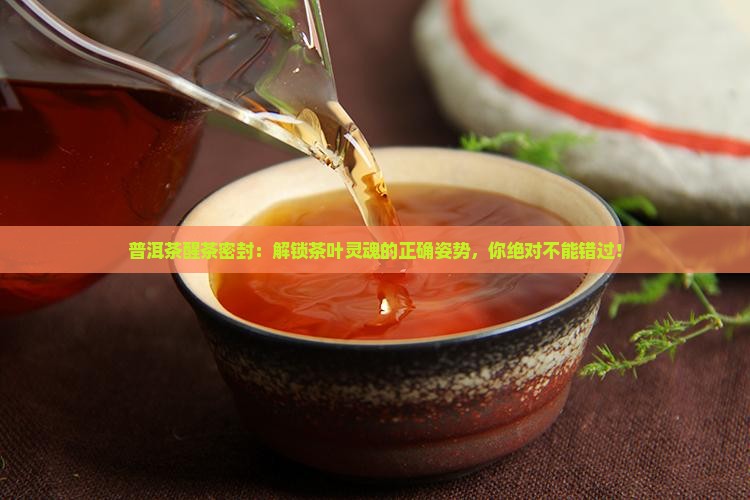 普洱茶醒茶密封